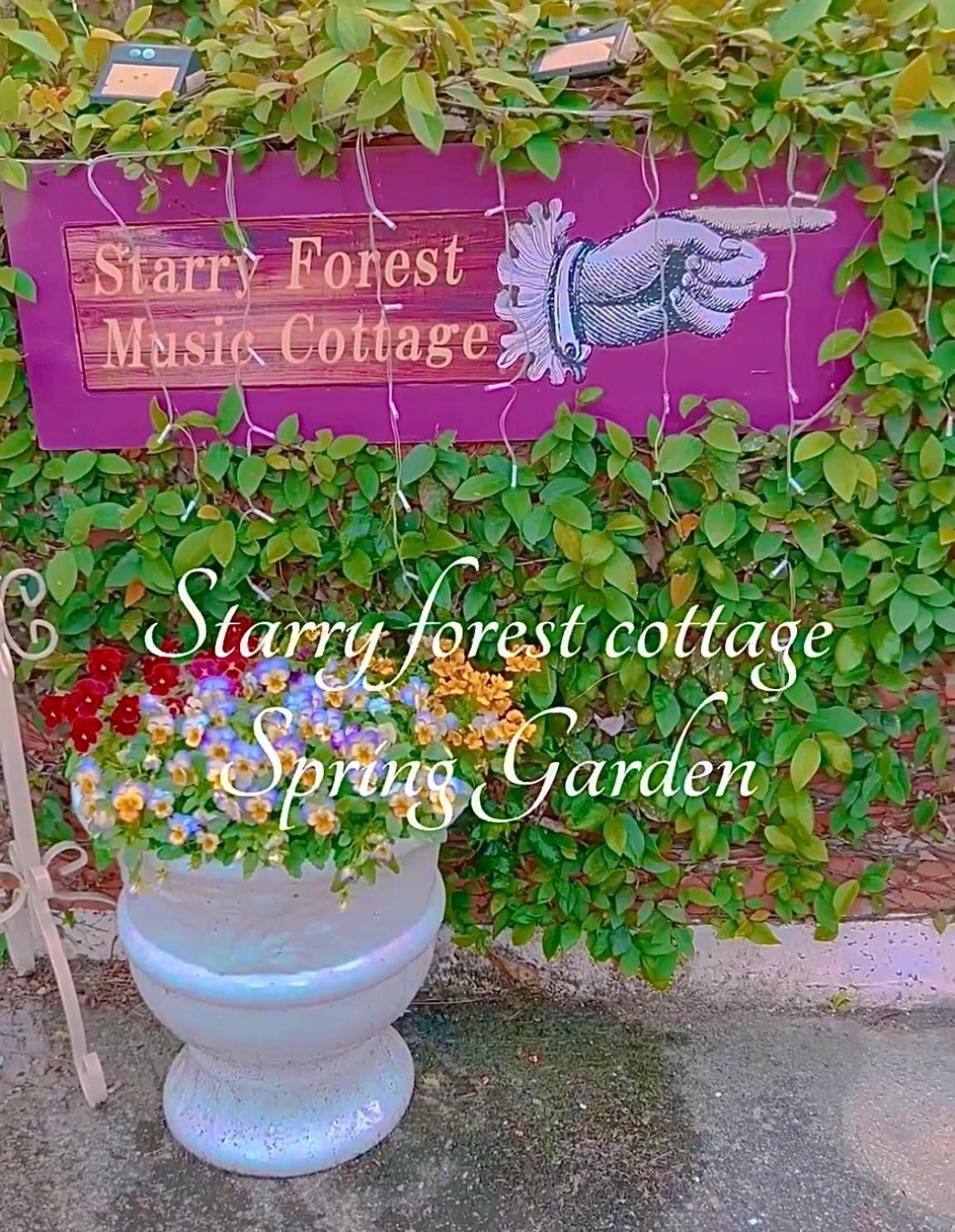 Cats,Piano & Starry Sky Resort Garden -Starry Forest Cottage Okinawa- Onna Buitenkant foto