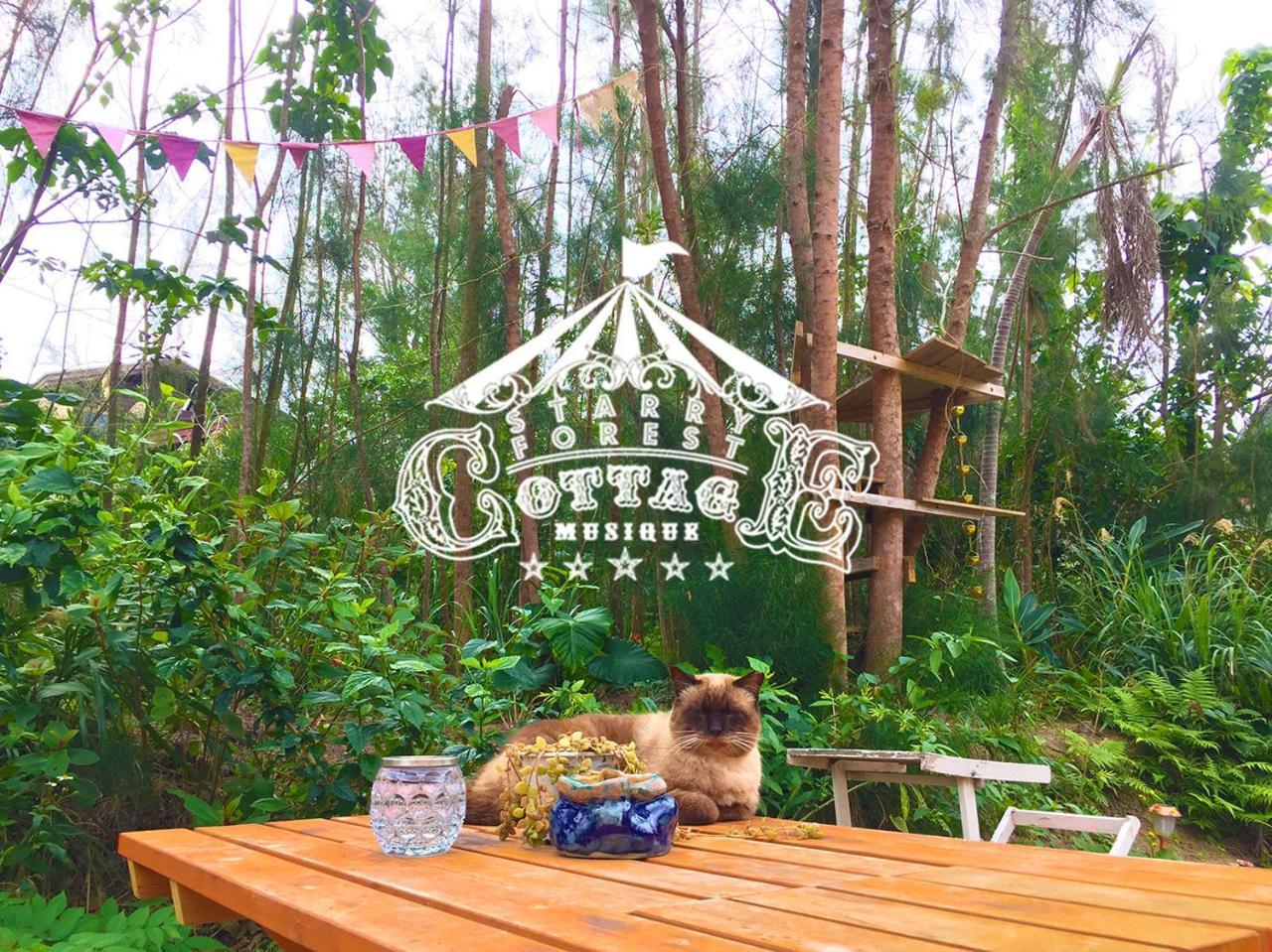 Cats,Piano & Starry Sky Resort Garden -Starry Forest Cottage Okinawa- Onna Buitenkant foto